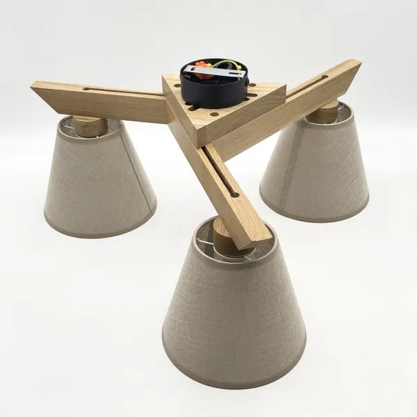 Brilagi - LED  Prisadený luster ANTHONY 3xE14/40W/230V dub/béžová