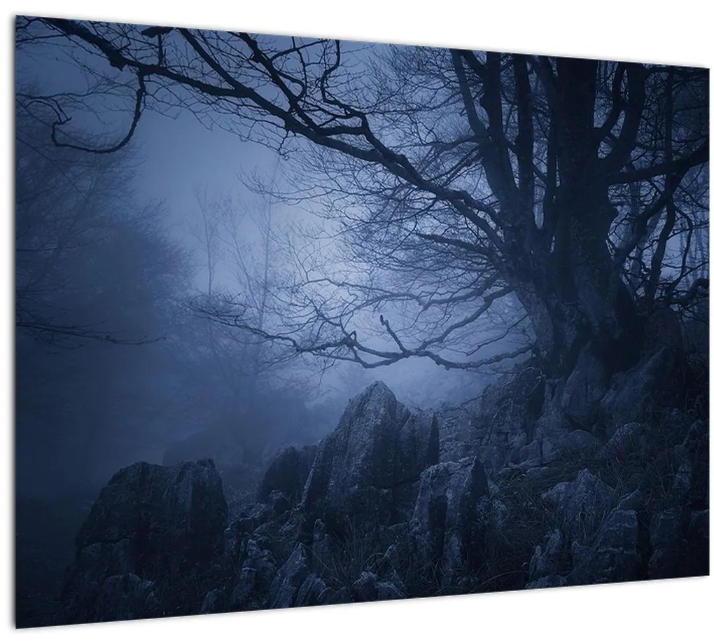 Sklenený obraz temného lesa (70x50 cm)