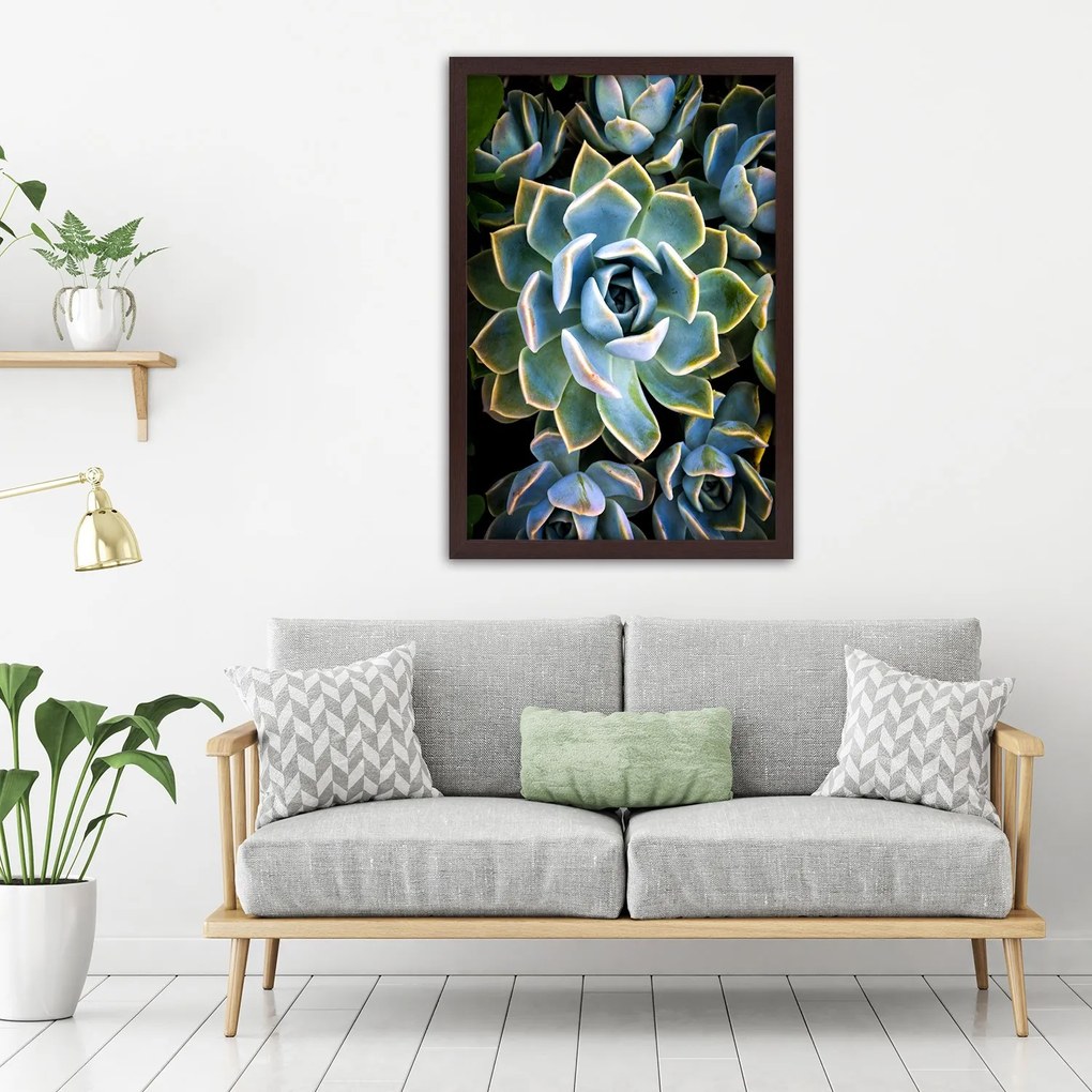 Gario Plagát Sukulentné so žltými okrajmi Farba rámu: Bez rámu, Rozmery: 30 x 45 cm