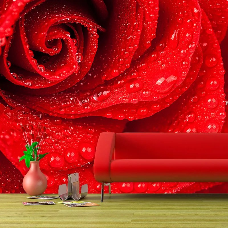 Sablio Tapeta Květ Ruža - 336x220 cm