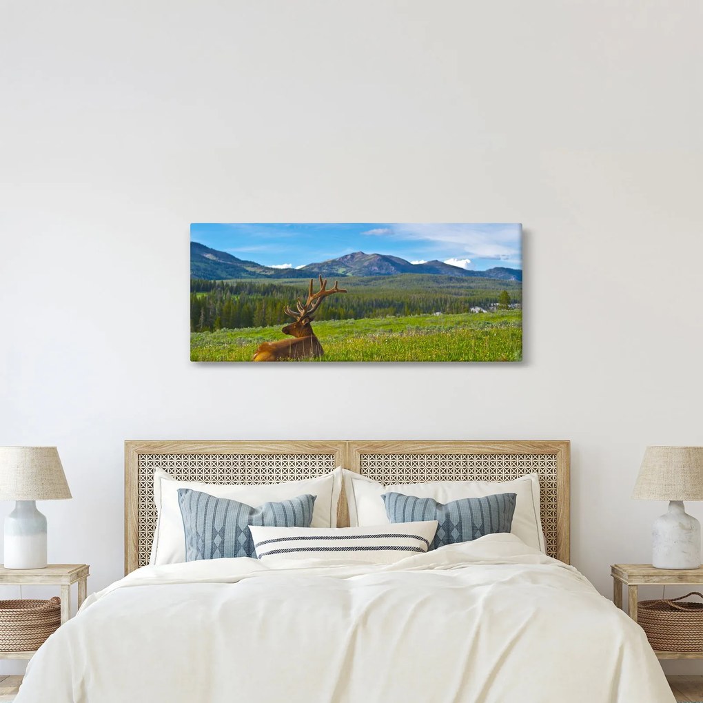 Obraz - Jeleň v lúke (120x50 cm)