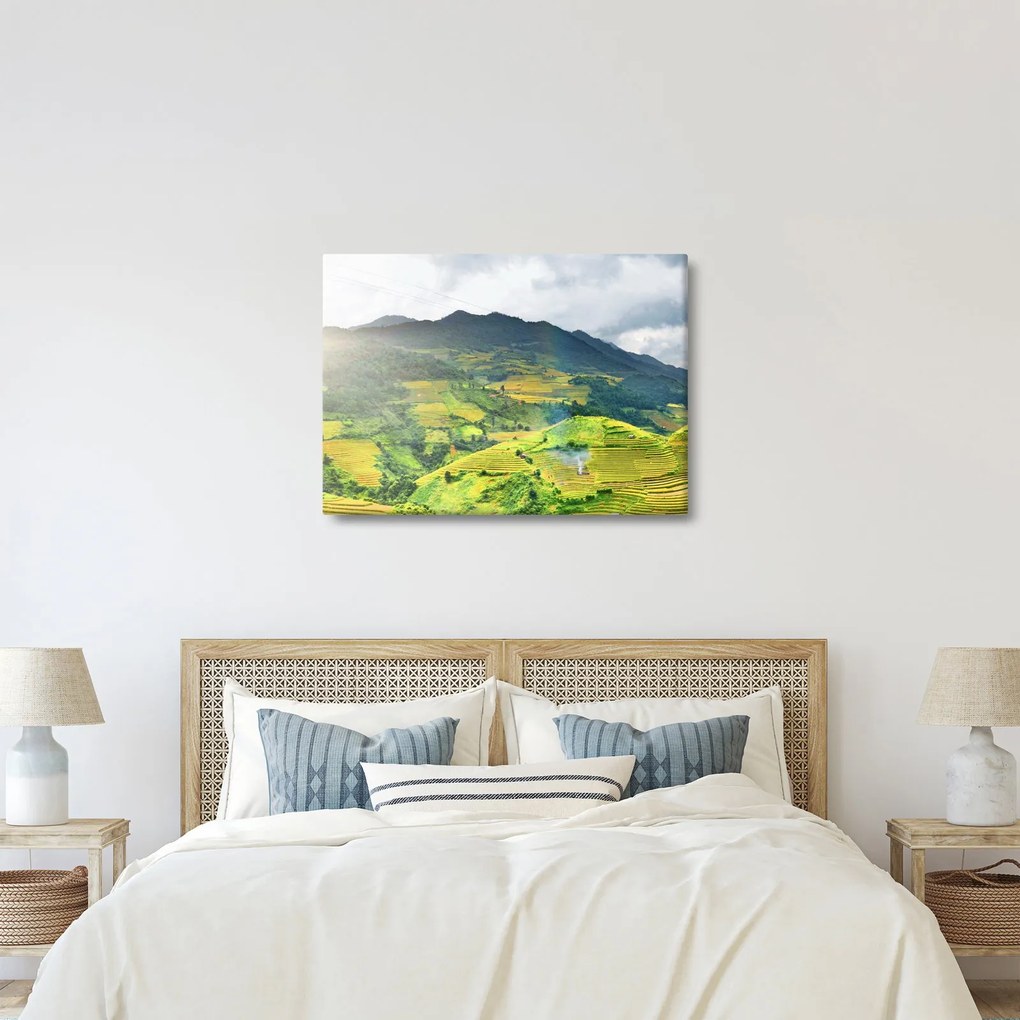 Obraz plantáže (70x50 cm)