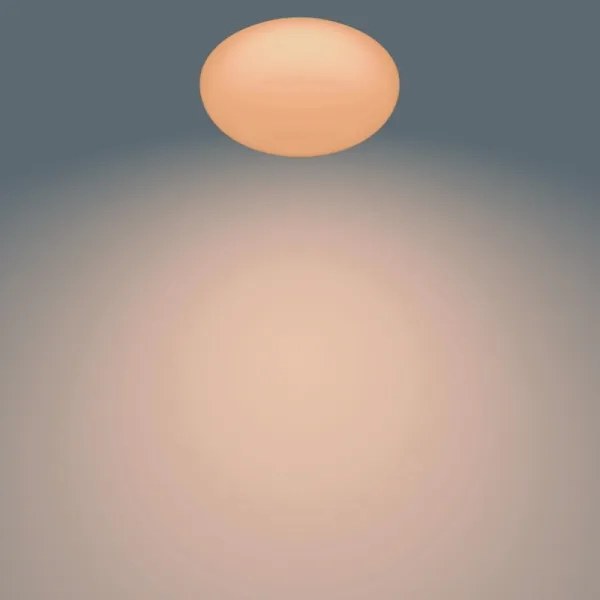 Philips - LED Stmievateľné stropné svietidlo TOBA 1xLED/23W/230V + DO