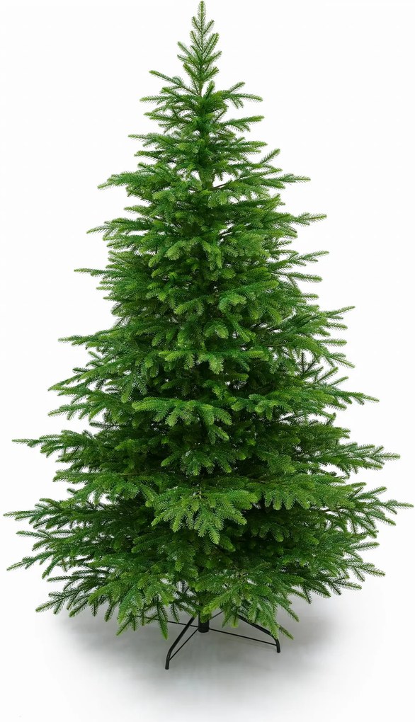 Smrek Beskydský 100% 3D- 255cm