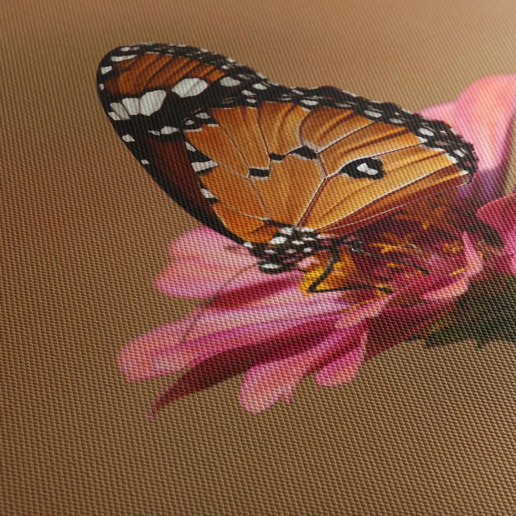 Obraz motýľa na kvetine (120x50 cm)