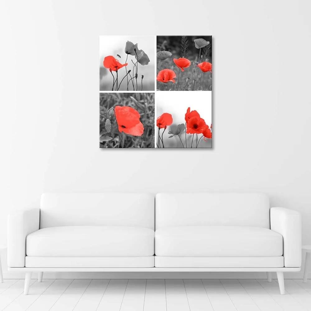 Obraz na plátně Sada červených máků - 30x30 cm