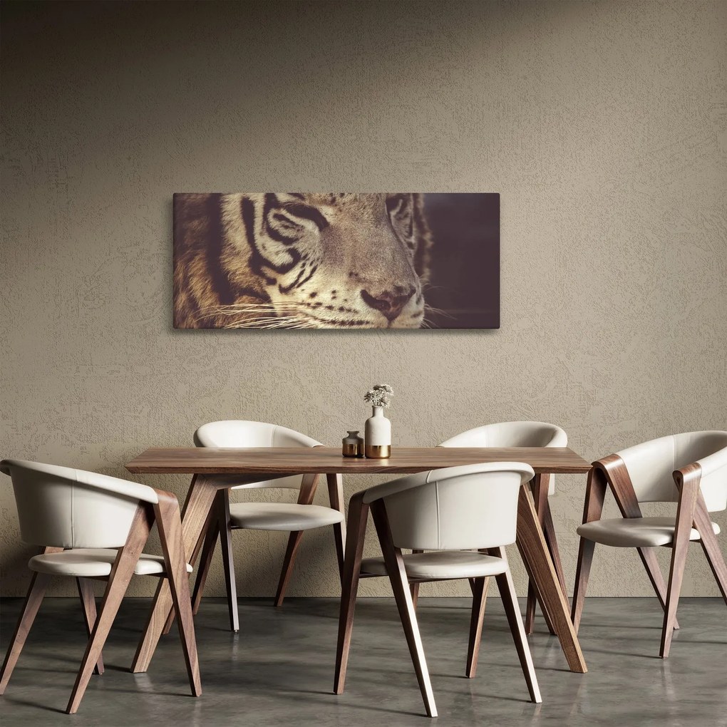 Obraz tigra (120x50 cm)