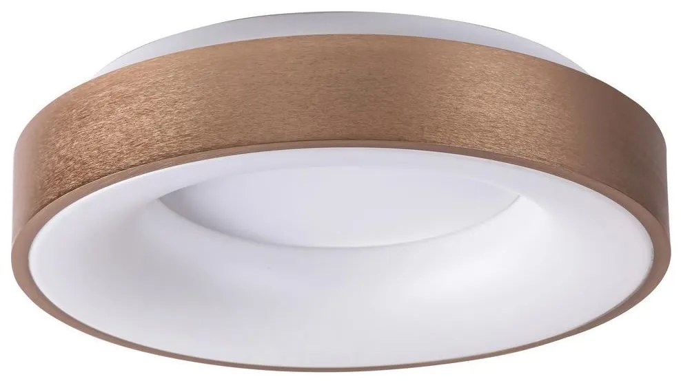 Rabalux 5052 - LED Stropné svietidlo CARMELA LED/30W/230V