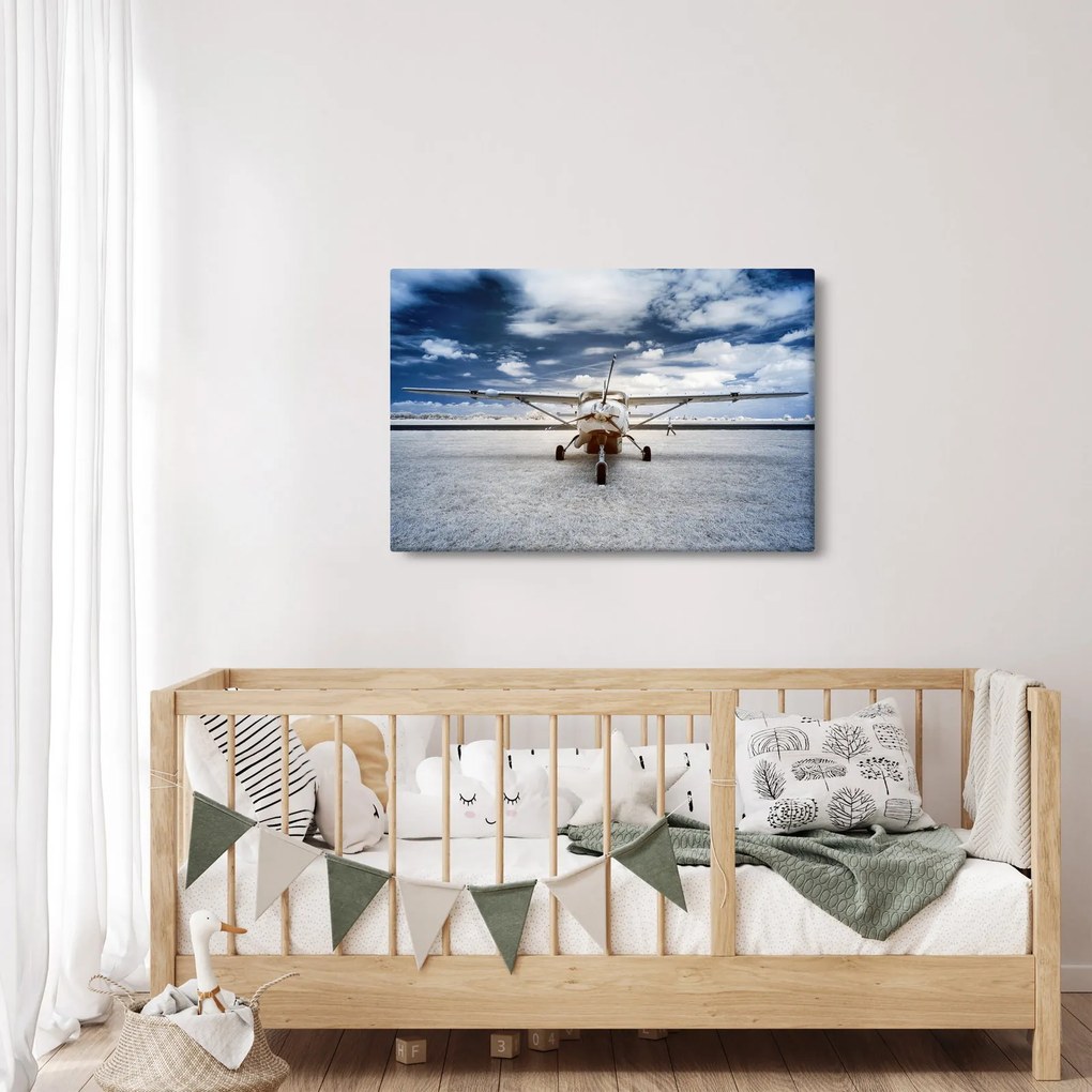 Obraz motorového lietadla (90x60 cm)
