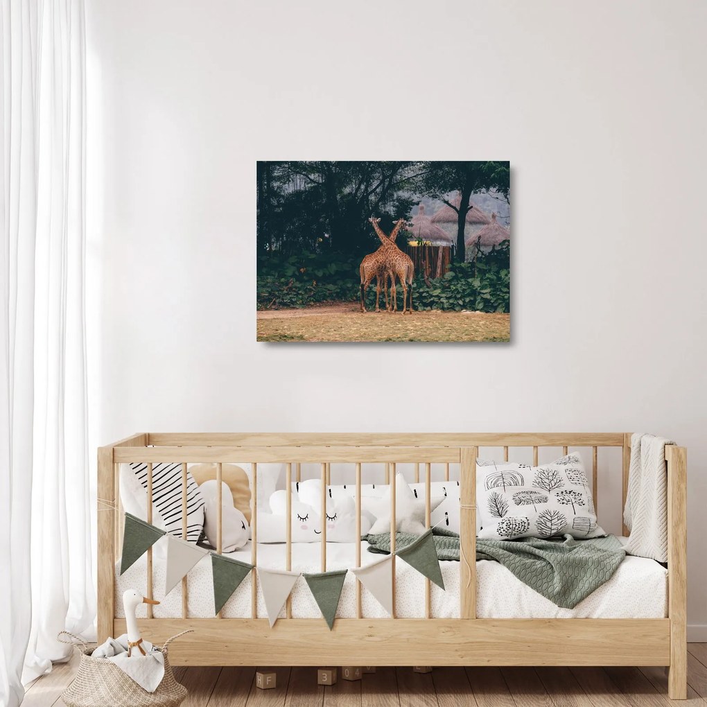 Sklenený obraz dvoch žiráf (70x50 cm)
