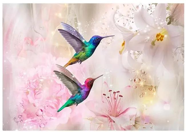 Samolepiaca fototapeta - Colourful Hummingbirds (Pink) Veľkosť: 196x140, Verzia: Samolepiaca