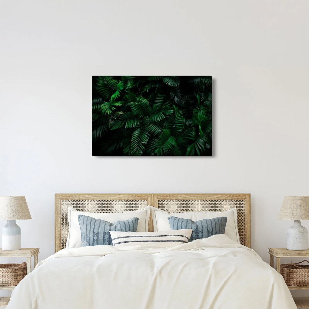 Obraz - Tropické papradie (90x60 cm)
