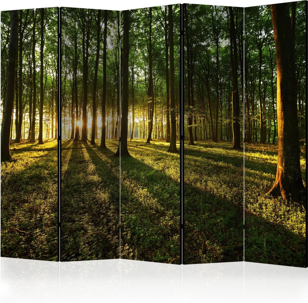 Paraván - Morning in the Forest II [Room Dividers] 225x172 7-10 dní