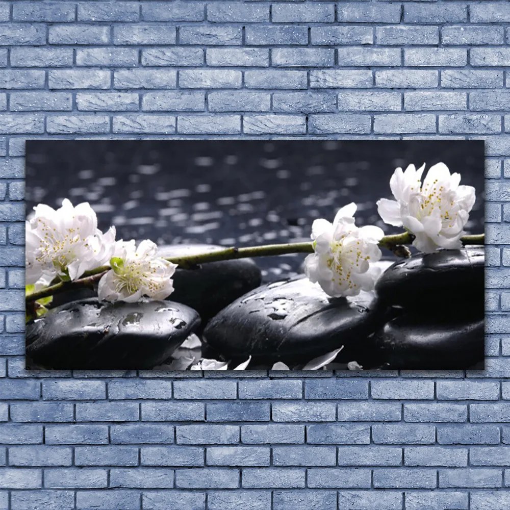 Obraz na akrylátovom skle Kvet kamene 120x60 cm