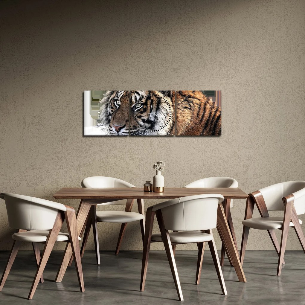 Obraz tigra (s hodinami) (90x30 cm)