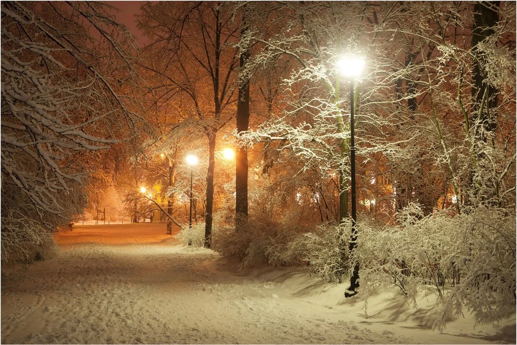 Obraz - Zasnežený park (90x60 cm)