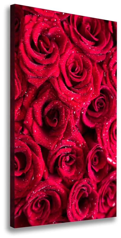 Foto obraz na plátne Červené ruže pl-oc-50x100-f-122317792