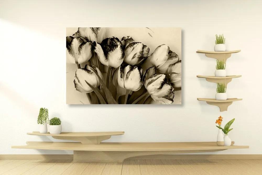 Obraz jarné tulipány v sépiovom prevedení - 120x80