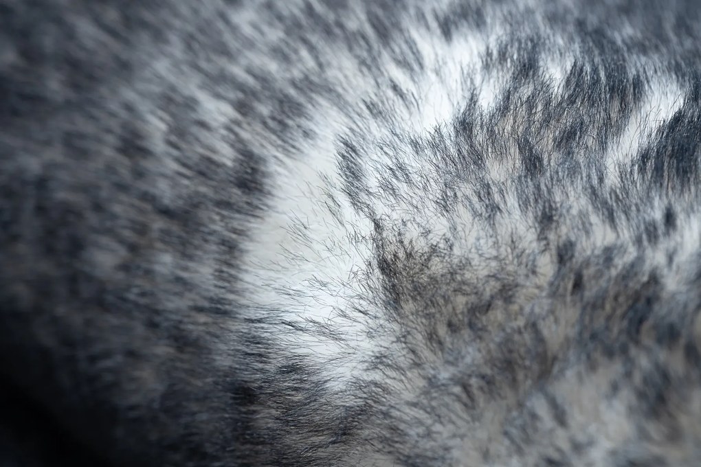 Okrúhly prateľný koberec LAPIN shaggy, čierny/ slonovinová kosť