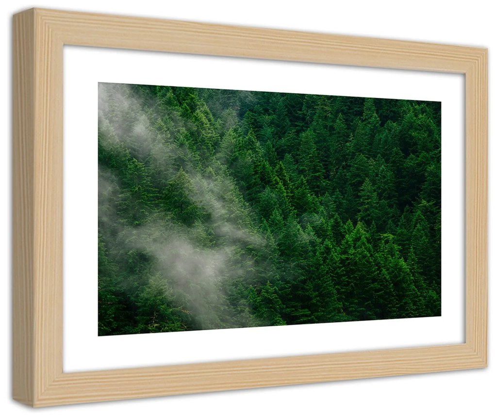 Gario Plagát Hmla nad lesom Farba rámu: Čierna, Rozmery: 60 x 40 cm