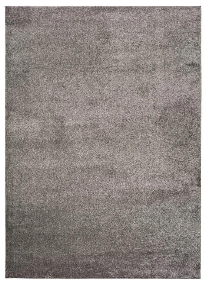 Tmavosivý koberec Universal Montana, 160 × 230 cm