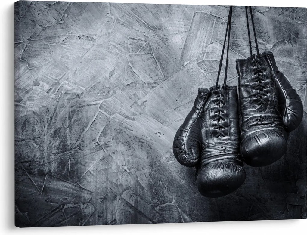 Obraz - Boxerské rukavice (70x50 cm)