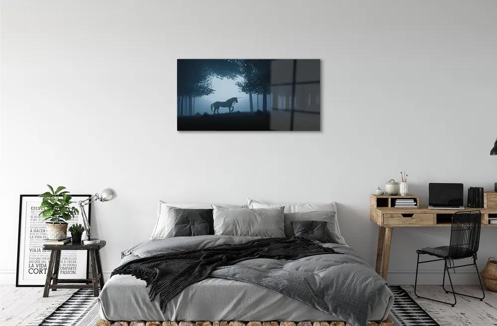 Sklenený obraz Las noc jednorožec 120x60 cm
