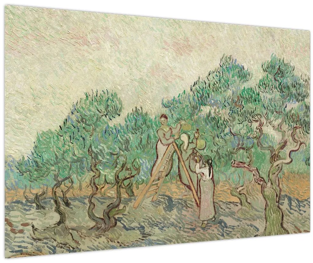 Obraz - Vincent van Gogh, The Olive Orchard, reprodukcia (90x60 cm)