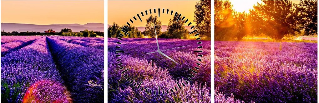 Obraz levanduľového pole, Provence (s hodinami) (90x30 cm)