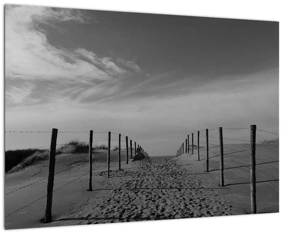 Obraz - cesta v piesku