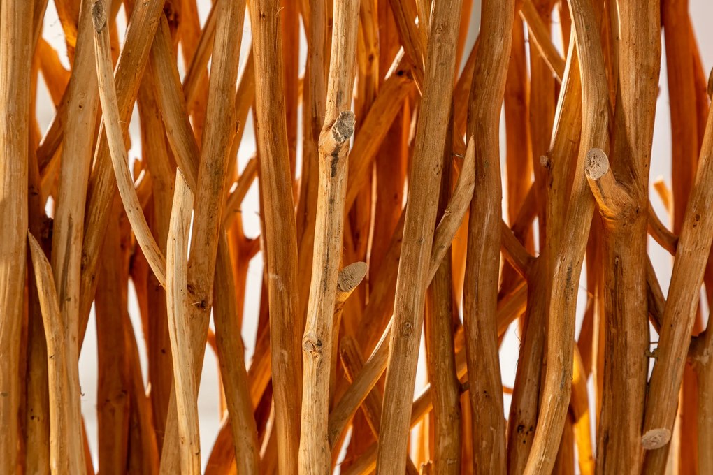 Stojacia lampa Natural Paravent 180cm natural longan wood