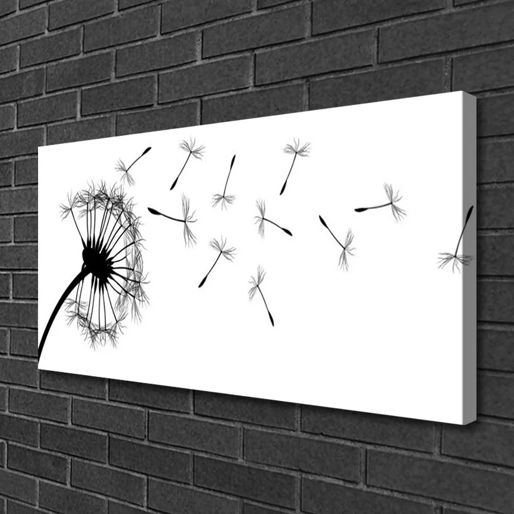 Obraz Canvas Púpava kvet 100x50 cm