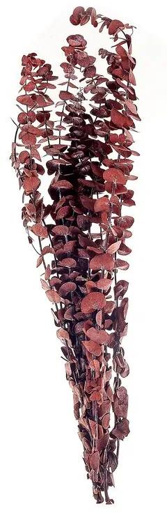 Kytica sušených kvetov 56 cm tmavočervená BADAJOZ Beliani