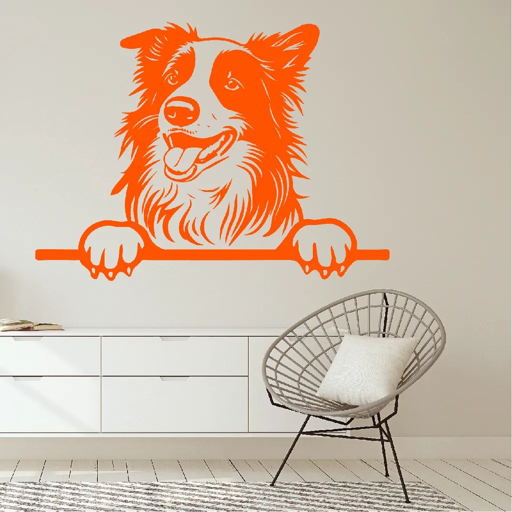 Veselá Stena Samolepka Veselá Border kólia Farba: zelená, Veľkosť: 100 x 72 cm