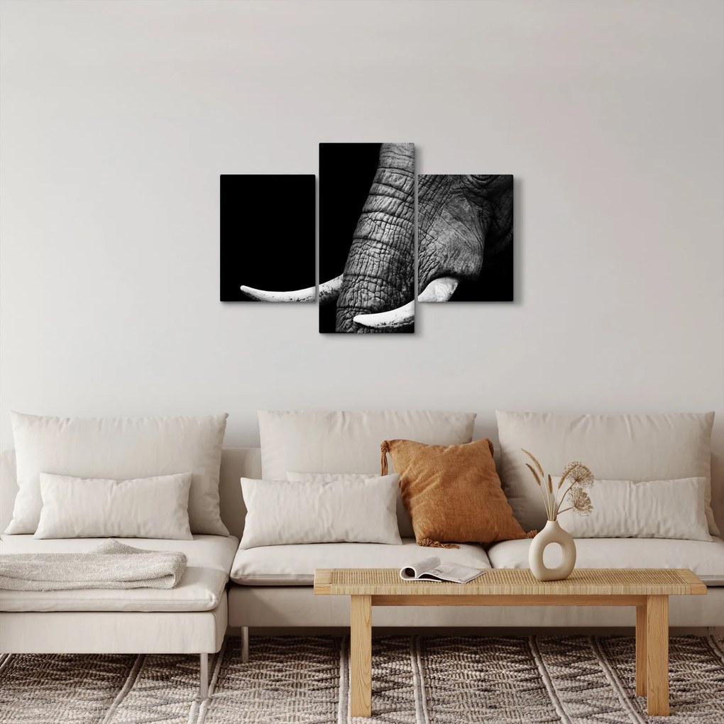Obraz - Slonie kly (90x60 cm)