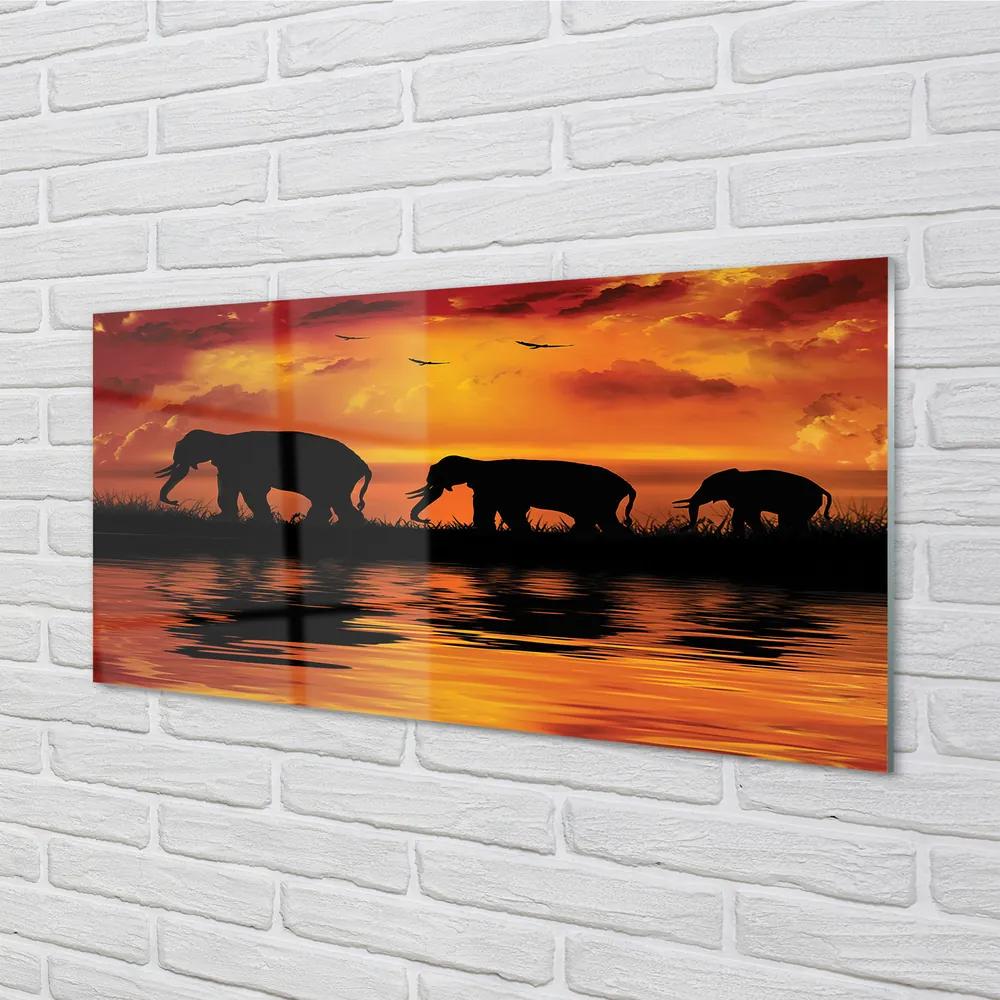Nástenný panel  slony West Lake 100x50 cm