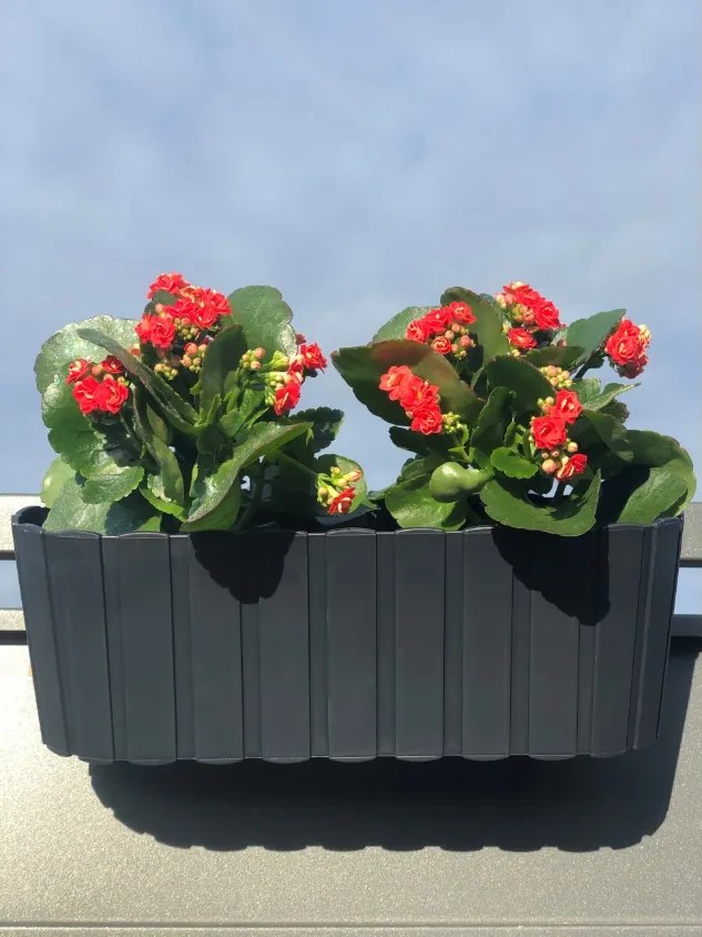 Plastový balkónový kvetináč DDECZ400 38,3 cm - antracit