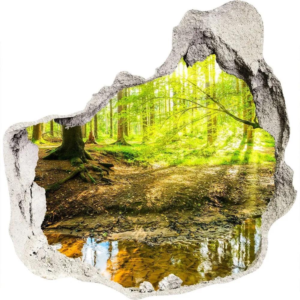 Diera 3D fototapety na stenu Rybník v lese nd-p-96124300