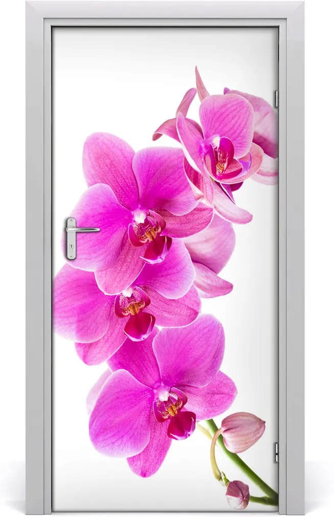 Fototapeta samolepiace  ružová orchidea