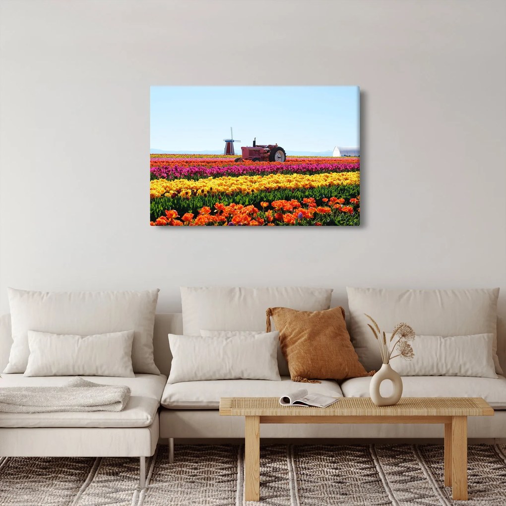 Obraz tulipánové farmy (90x60 cm)