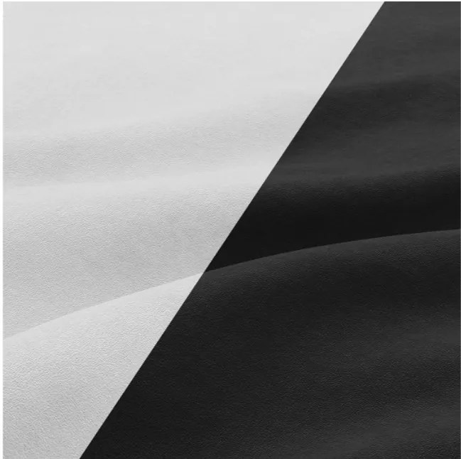 Pohovka ORION čierna / biela