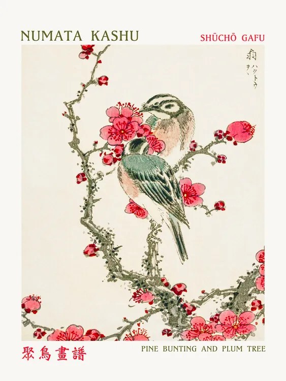 Obrazová reprodukcia Pine Bunting & Plum Tree (Asian Birds) - Numata Kashu