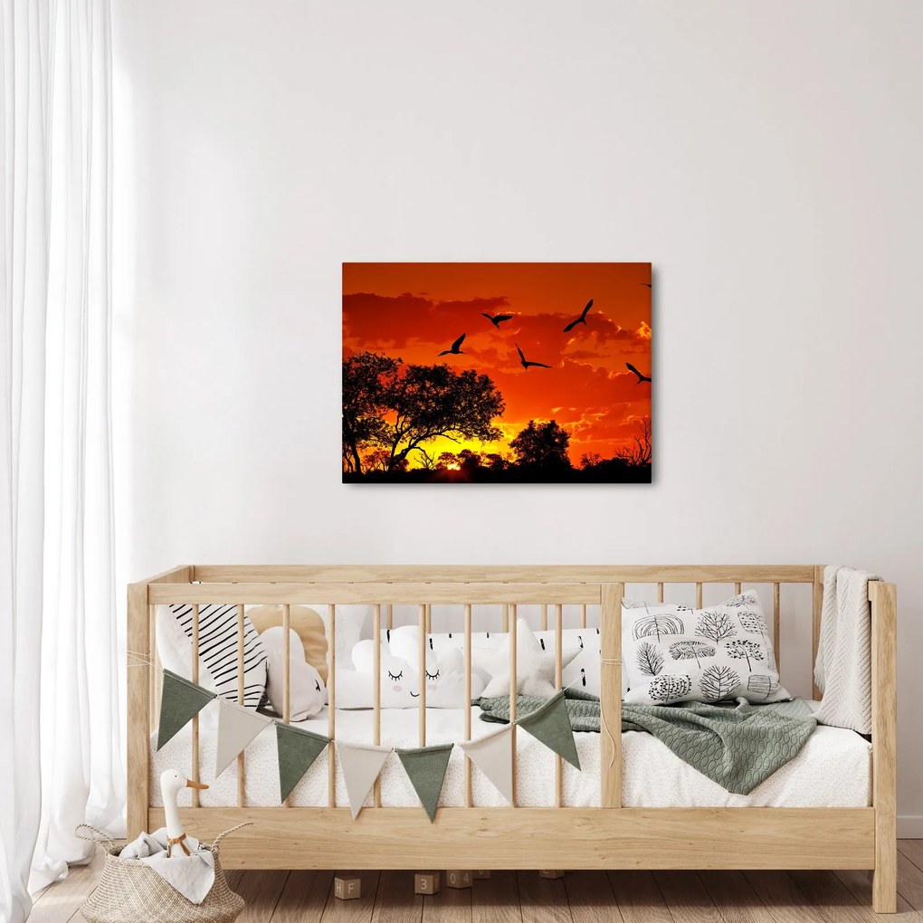 Obraz vtákov pri západe slnka (70x50 cm)