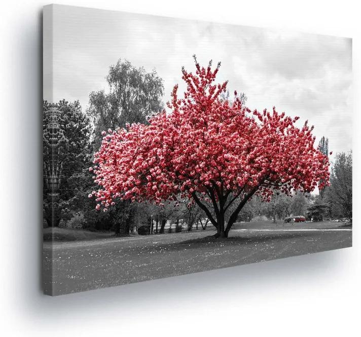 GLIX Obraz na plátne - Pink Blooming Tree 100x75 cm