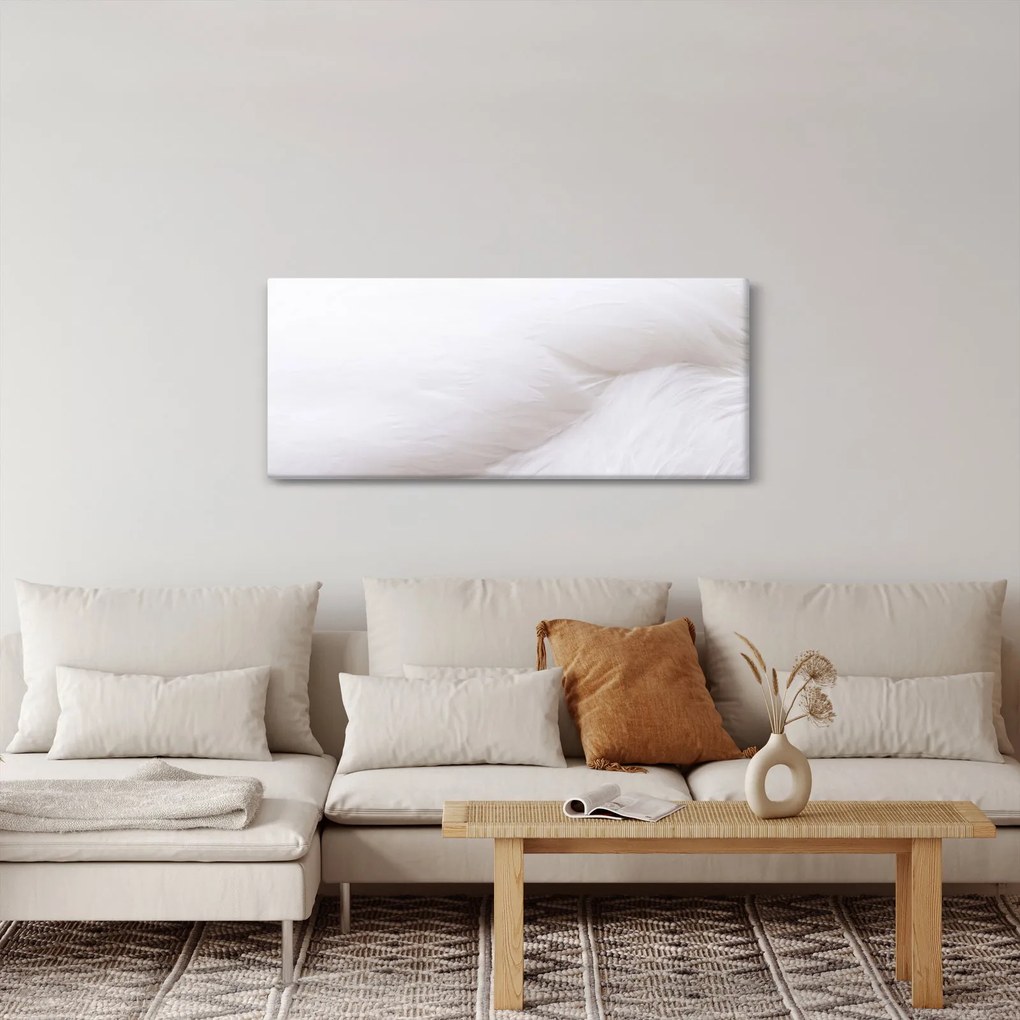 Obraz - Biele pierko (120x50 cm)