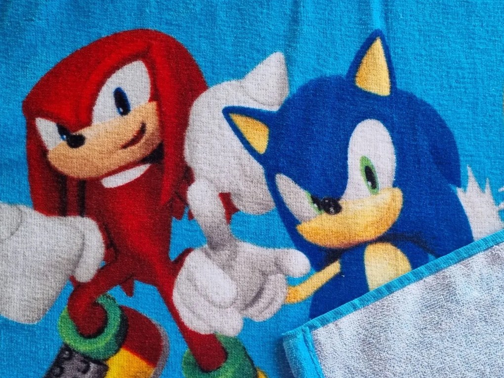 Carbotex Detské pončo 55x110 cm - Ježko sonic a priatelia