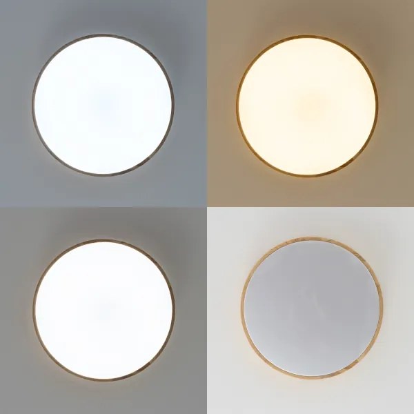 Brilagi - stmievateľné LED stropné svietidlo PINE LED/24W/230V + diaľkové ovládanie