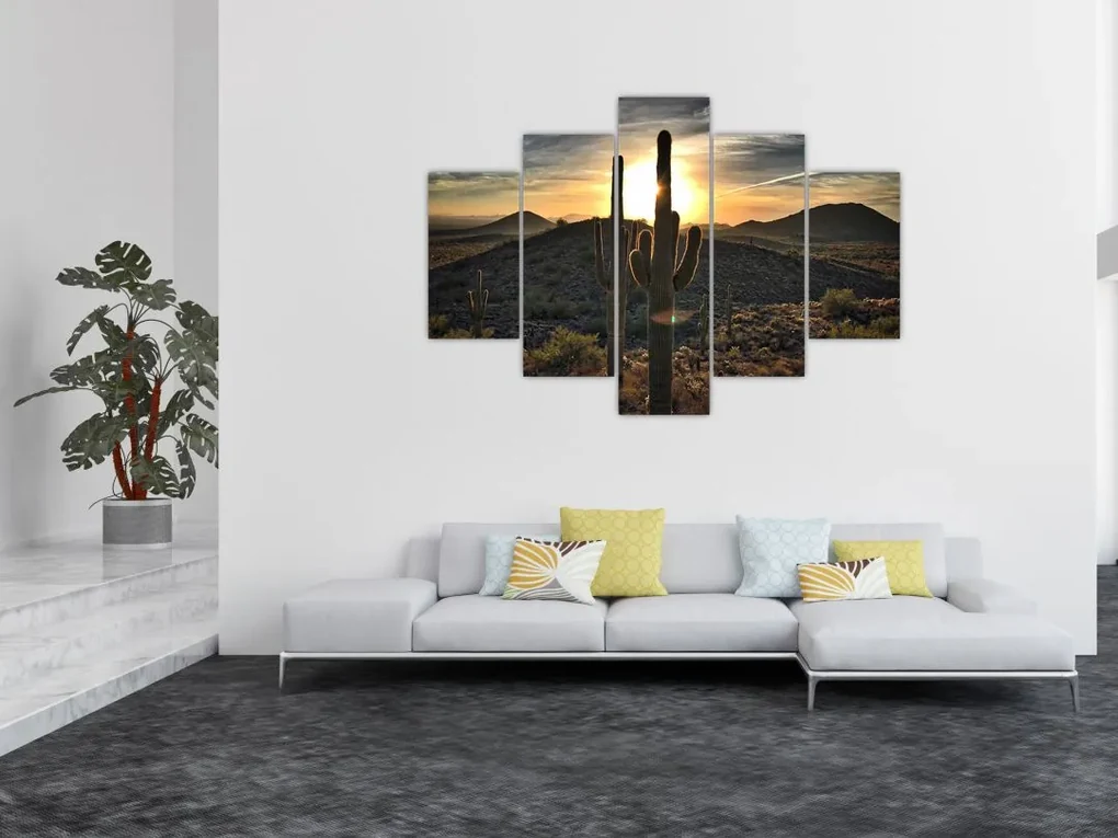 Obraz - kaktusy v slnku (150x105 cm)