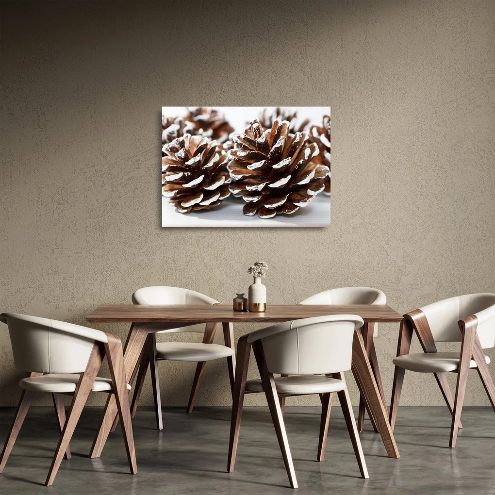 Sklenený obraz - Šišky (70x50 cm)