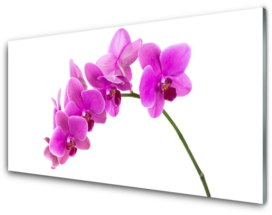 Sklenený obklad Do kuchyne Vstavač kvet orchidea 140x70 cm